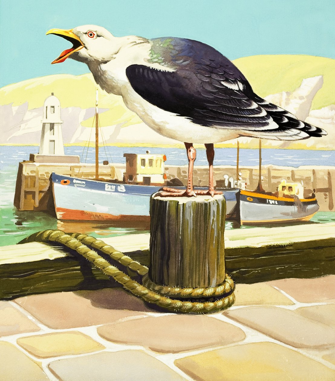 Mouette, illustration de "Il était une fois". - English School