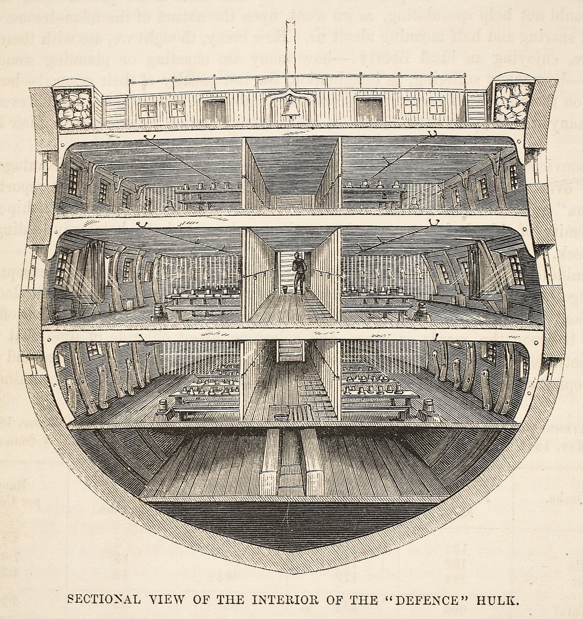 Vue en coupe de l
