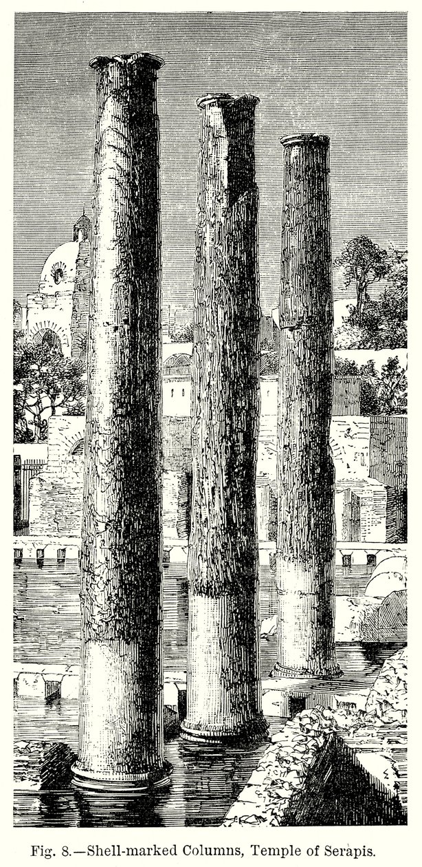 Colonnes marquées de coquillages, temple de Sérapis (gravure) - English School