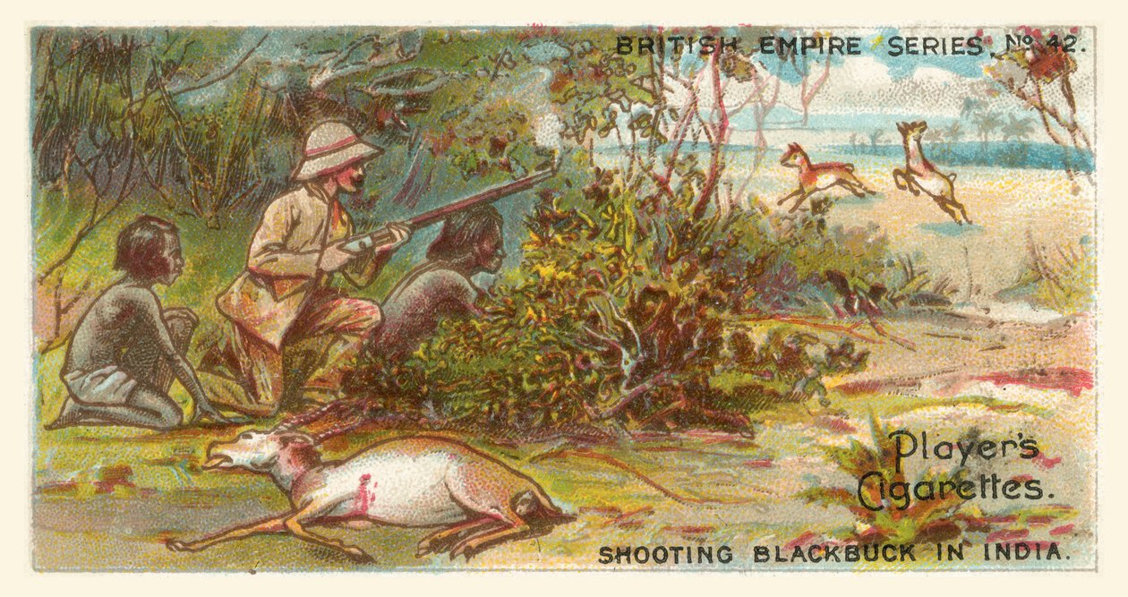 Chasse au Blackbuck en Inde (chromolitho) - English School