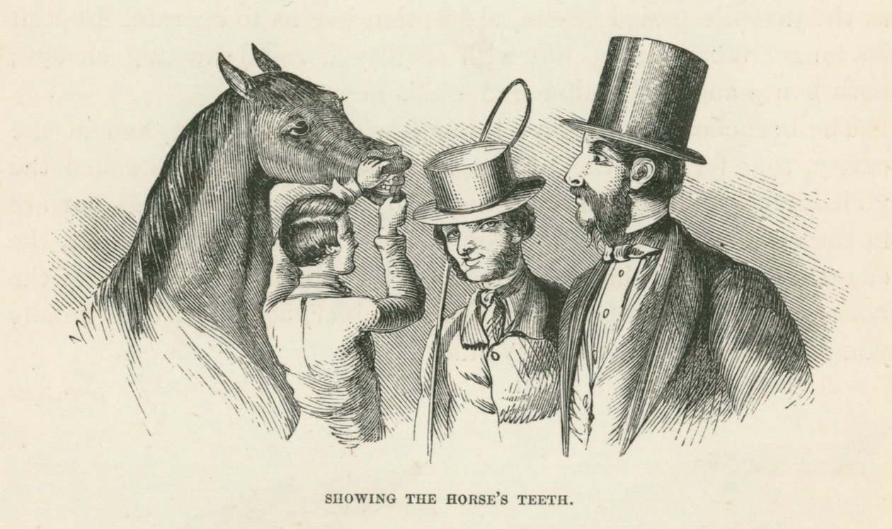 Montrer les dents du cheval (gravure) - English School