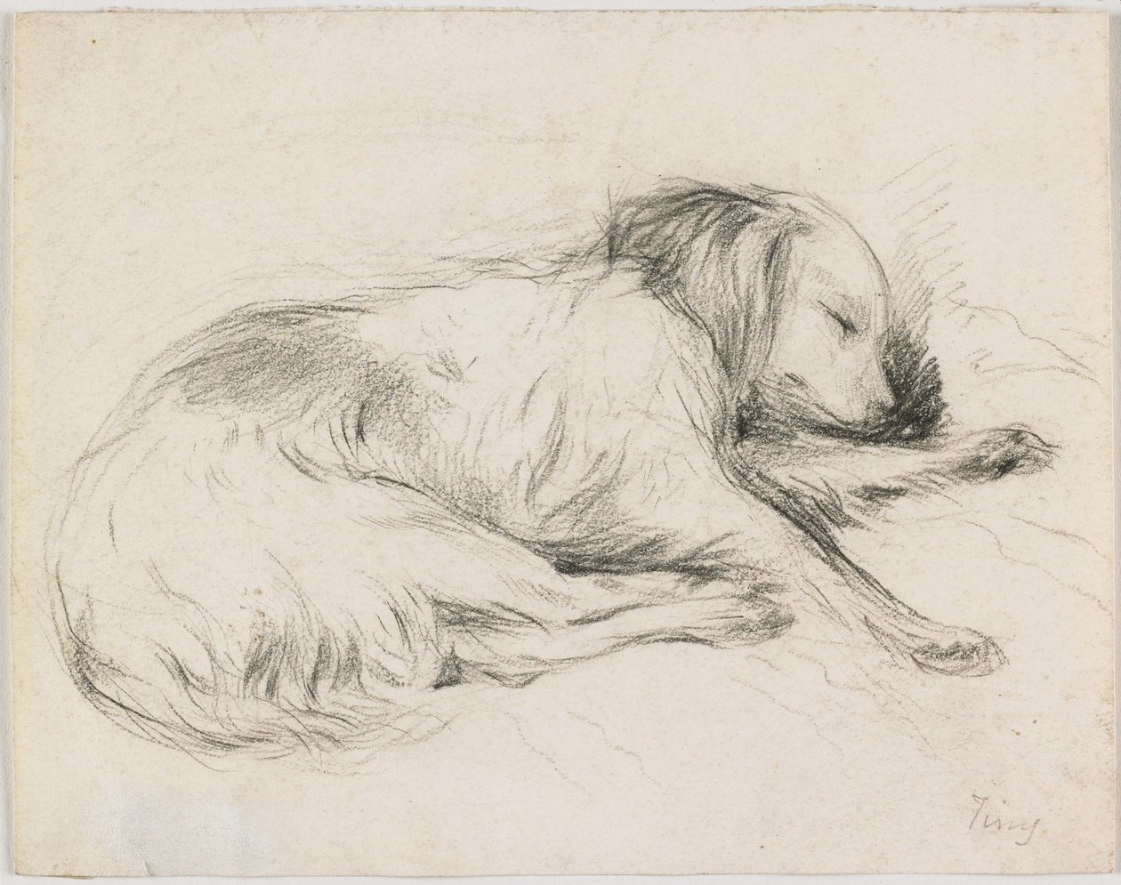 Chien endormi, c.1840 - English School