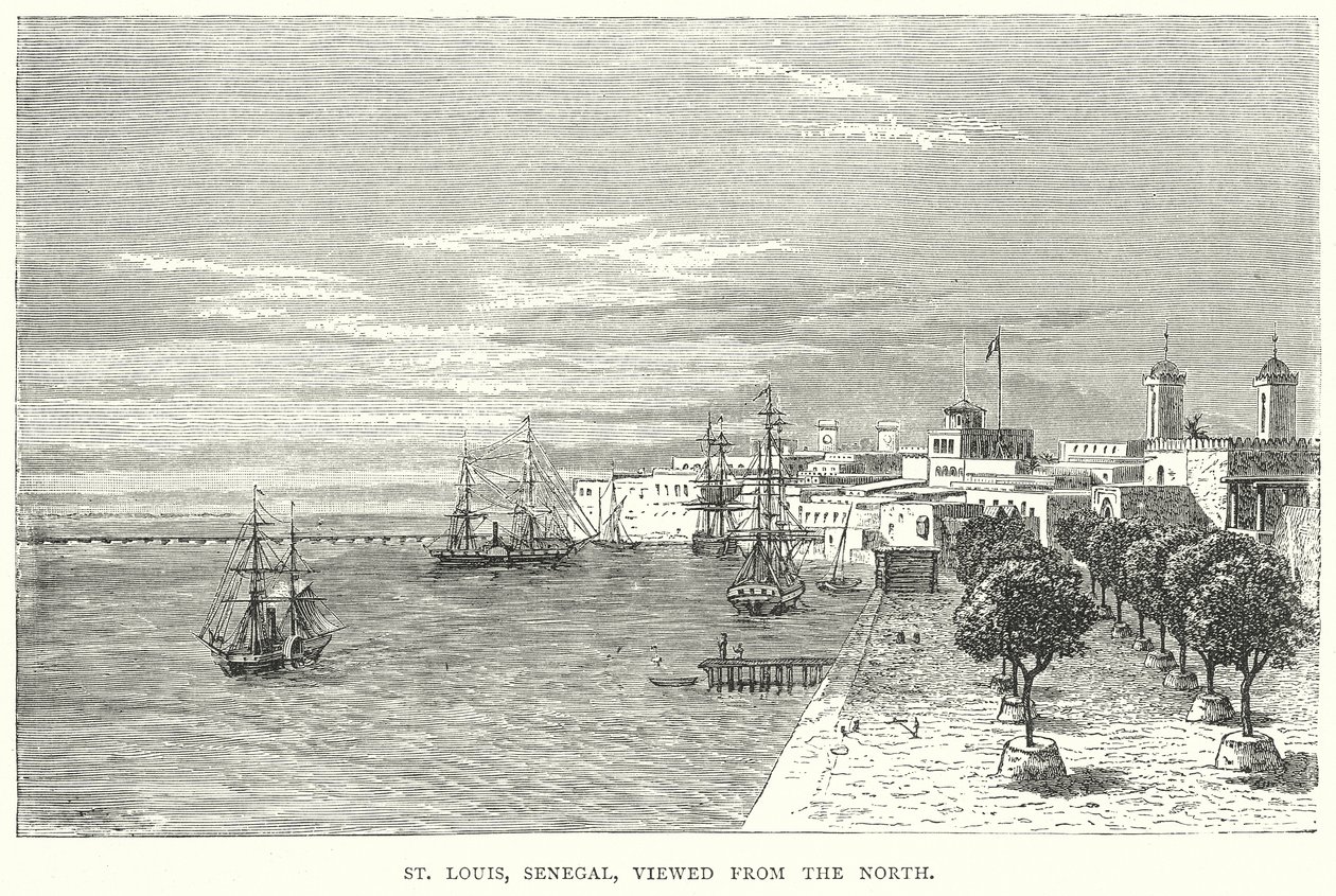 St Louis, Sénégal, vu du nord (gravure) - English School