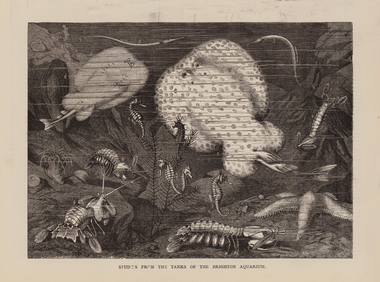Études des bassins de l