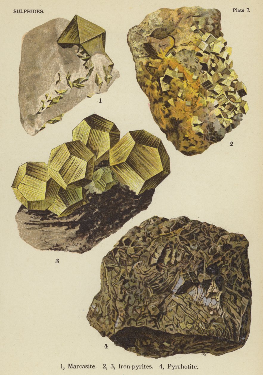 Sulfures, marcasite, pyrites de fer, pyrrhotite (litho couleur) - English School