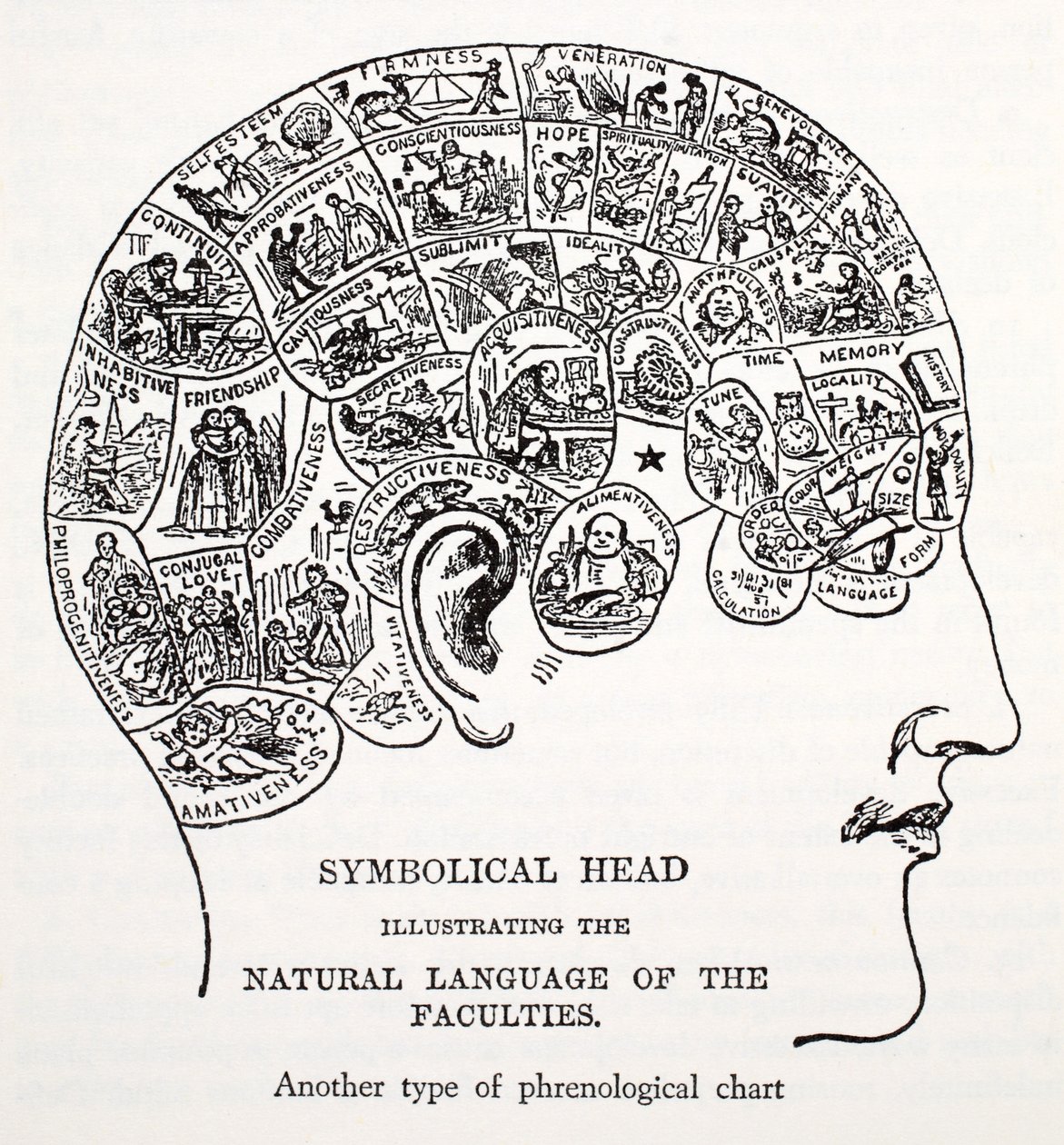 Tête symbolique - English School