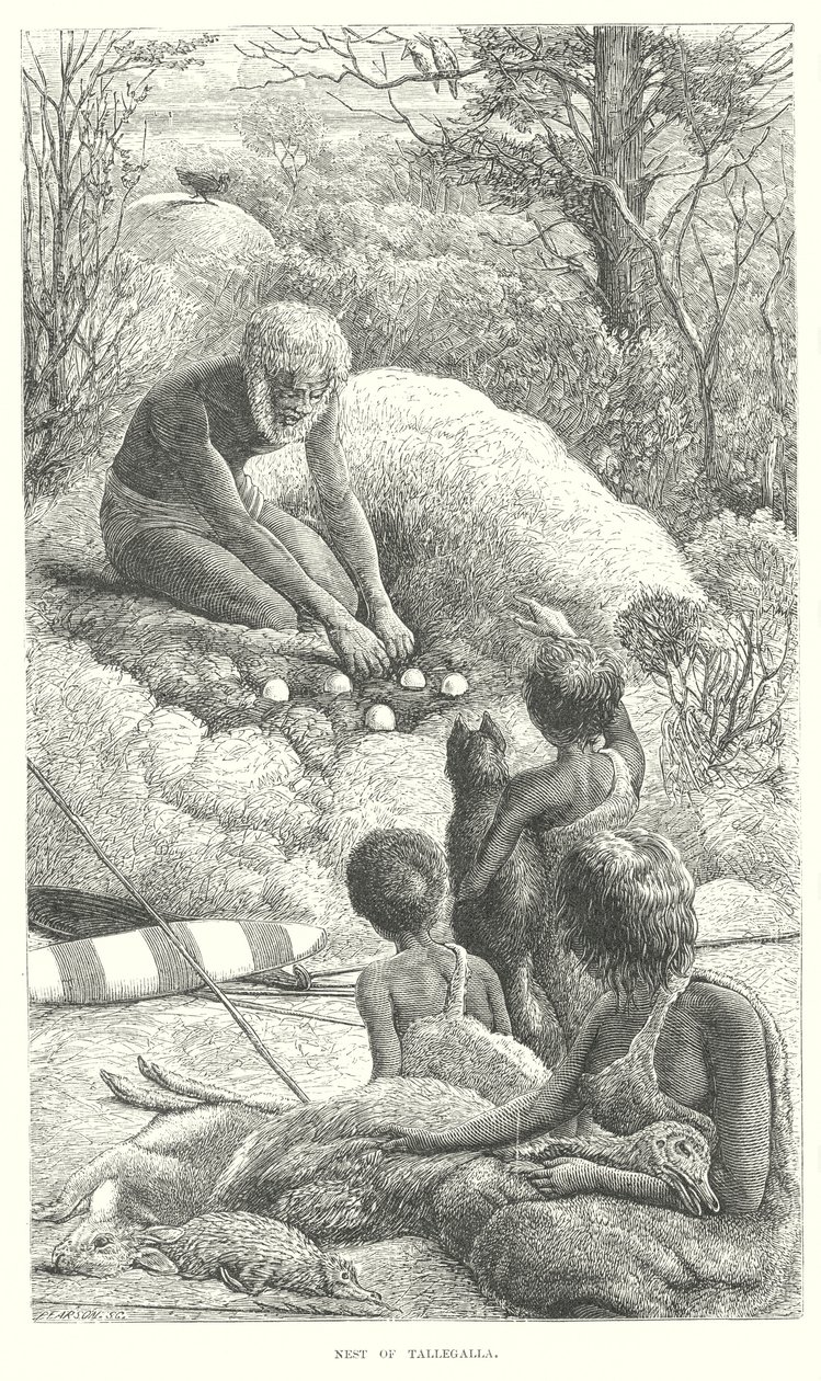 Tallegalla (gravure) - English School