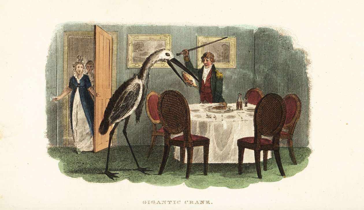 Grue géante apprivoisée volant un poulet entier bouilli de la table à manger - English School
