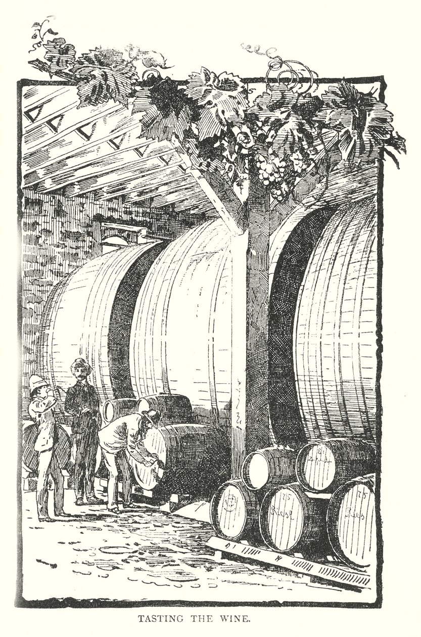 Dégustation du vin (gravure) - English School