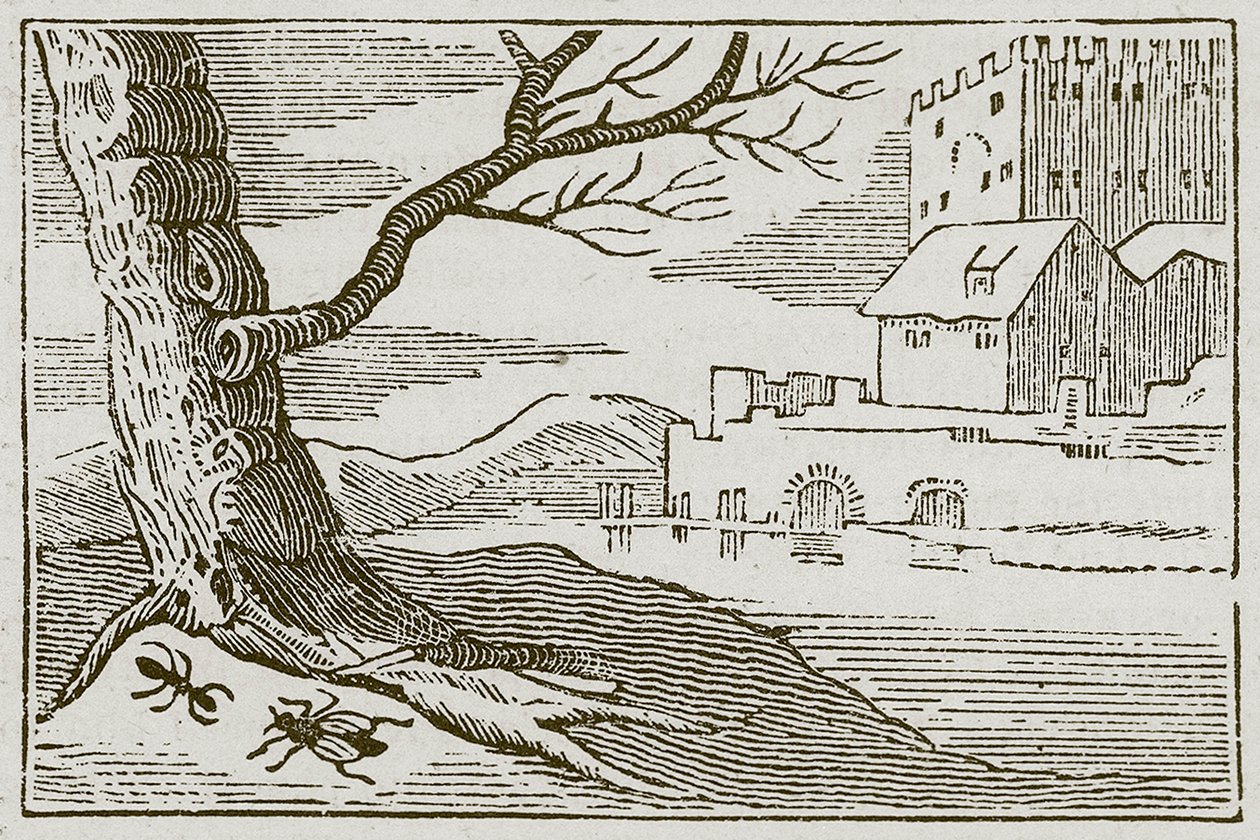 La fourmi et la mouche (gravure) - English School