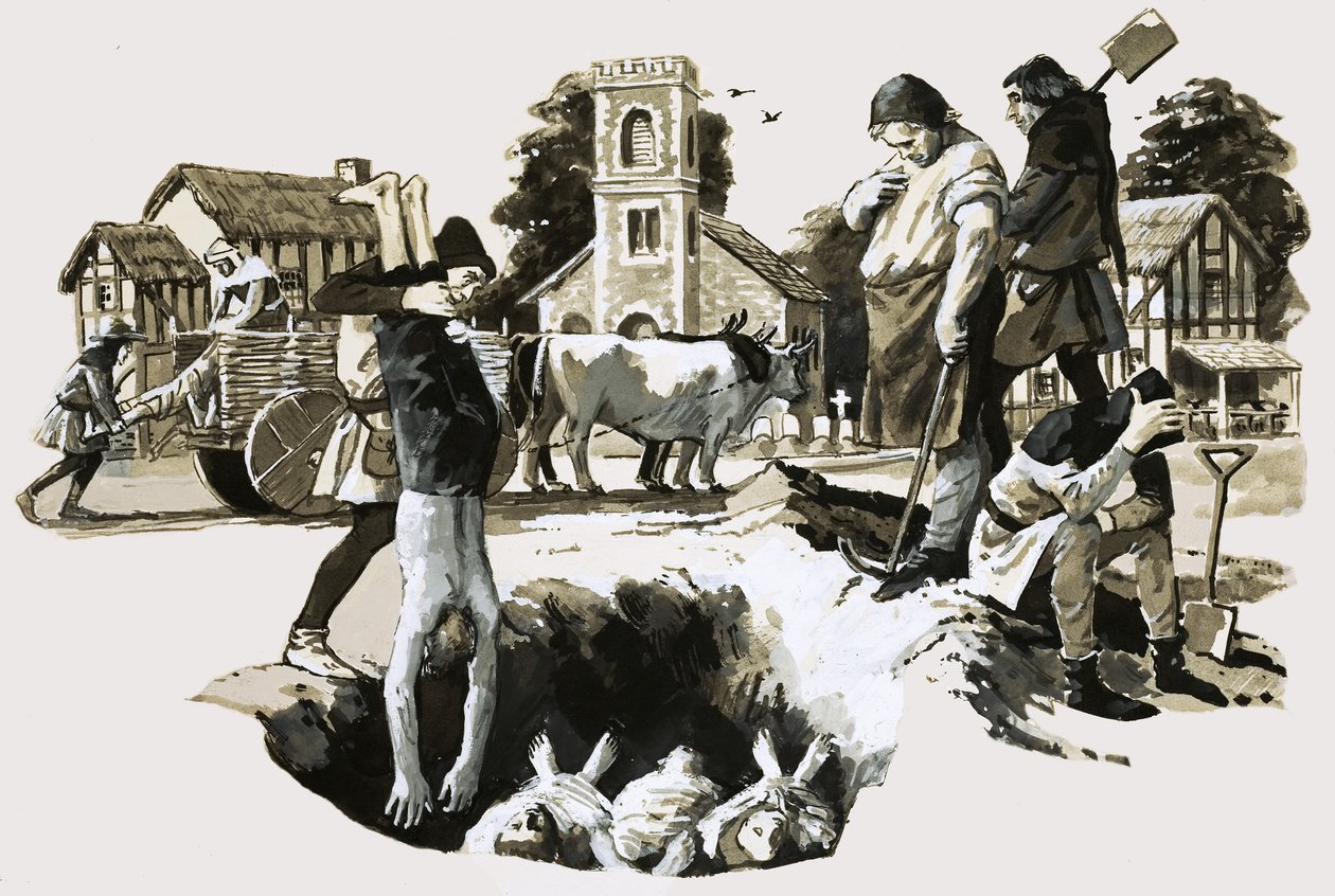 La peste noire - English School