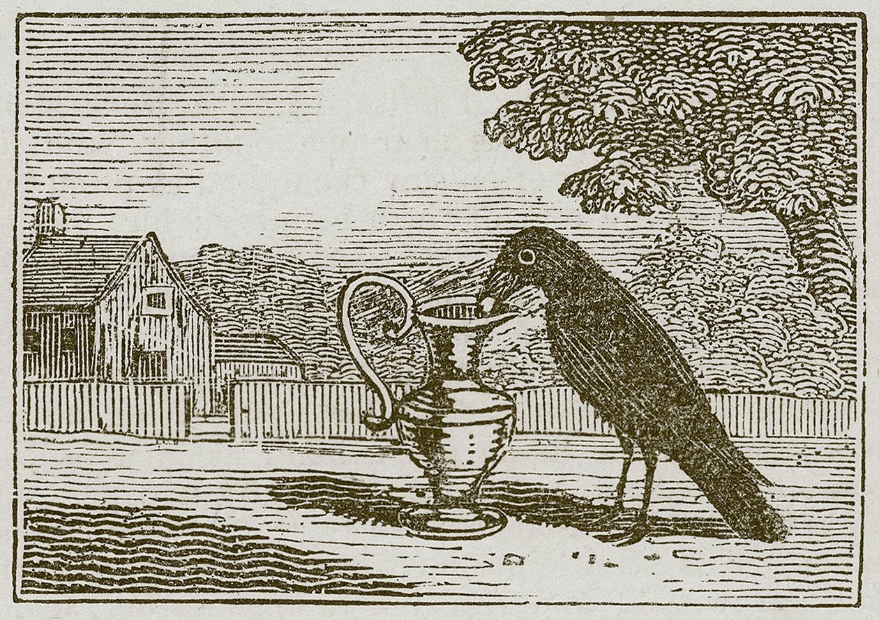 Le corbeau et la cruche (gravure) - English School