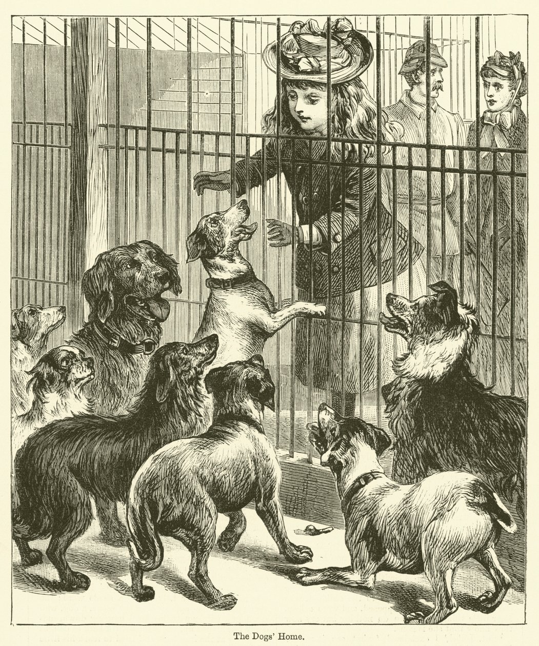 La maison des chiens (gravure) - English School