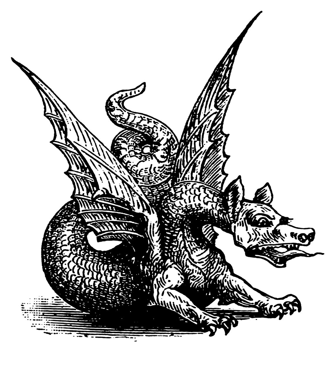 Le dragon de la fable (gravure) - English School