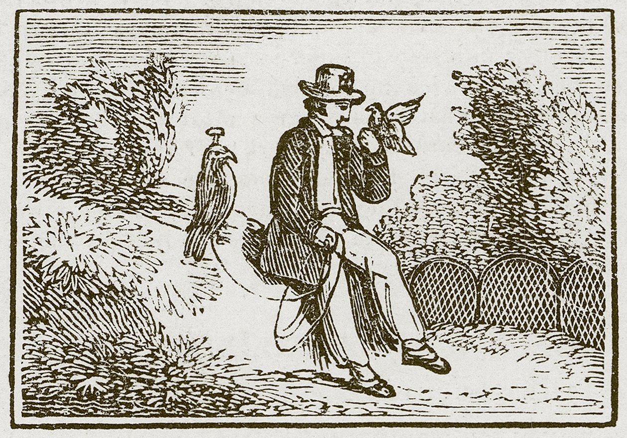 Le fauconnier et la perdrix (gravure) - English School