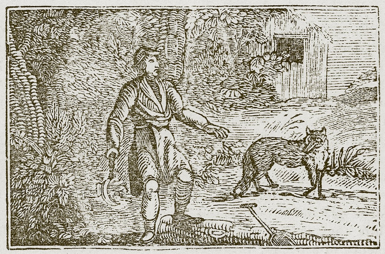 Le renard et le paysan (gravure) - English School