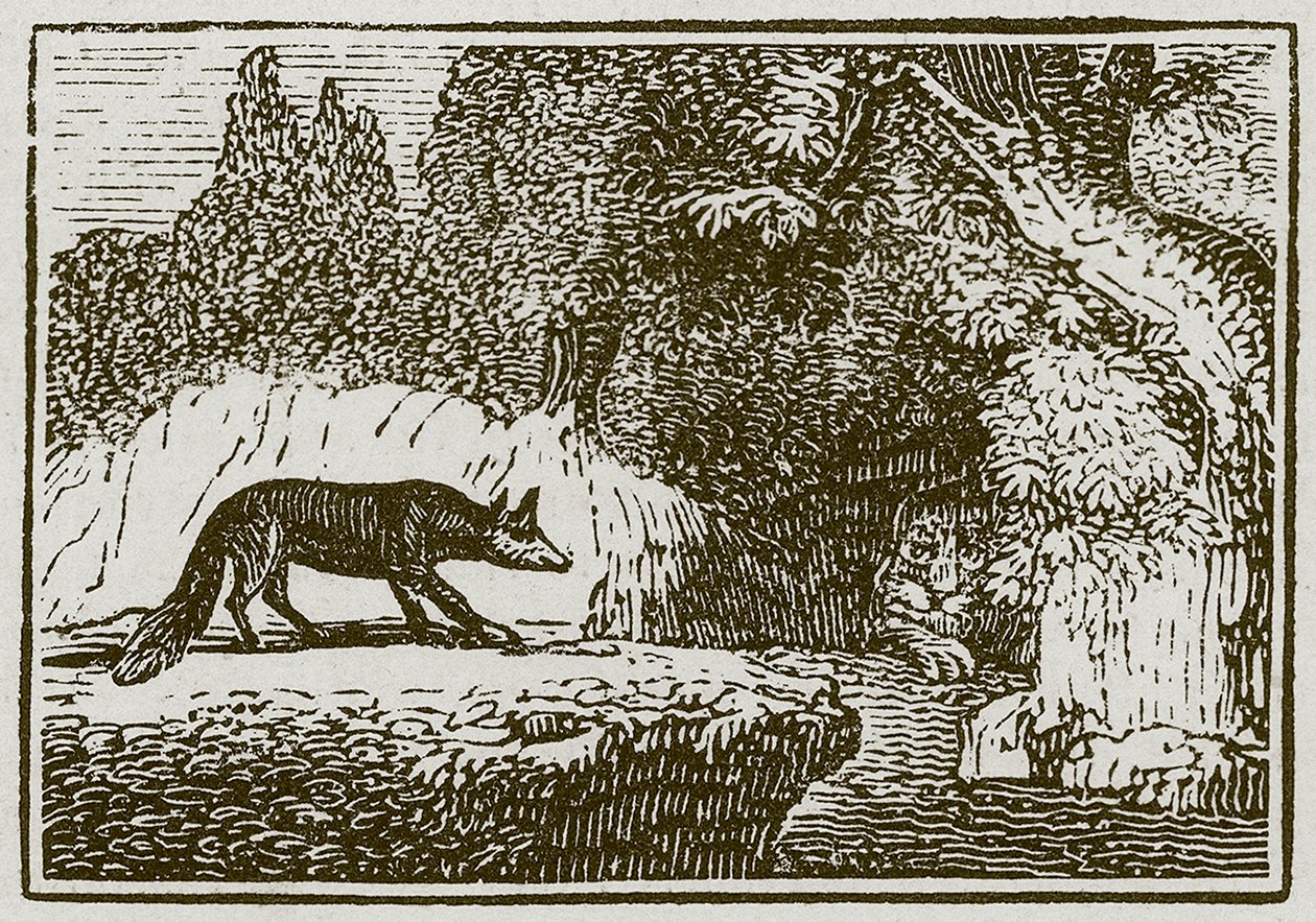 Le renard et le lion malade (gravure) - English School