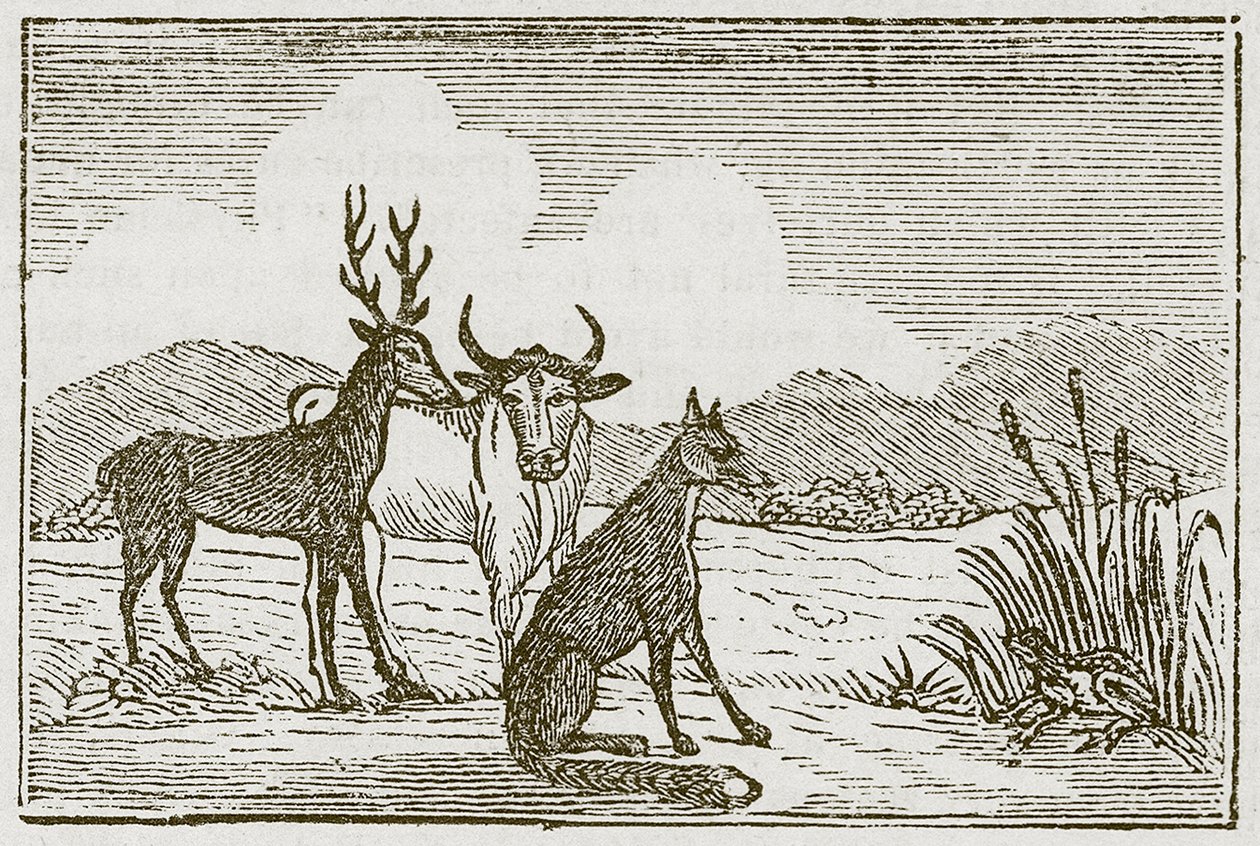 La grenouille et le renard (gravure) - English School