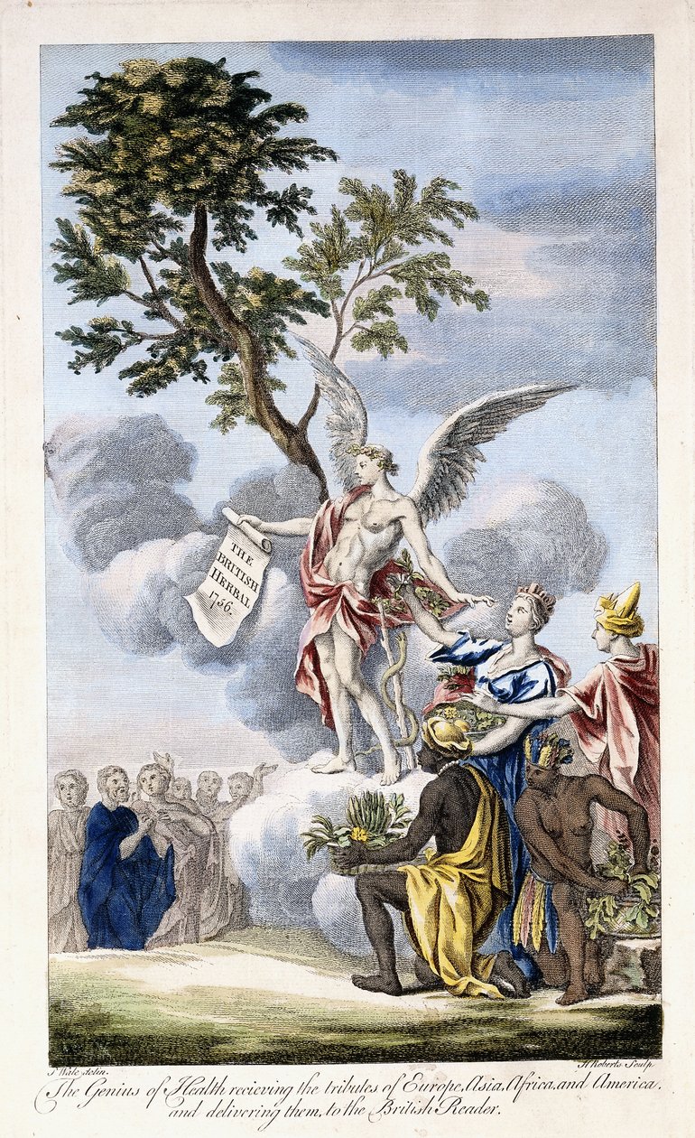 Le Génie de la Santé recevant l