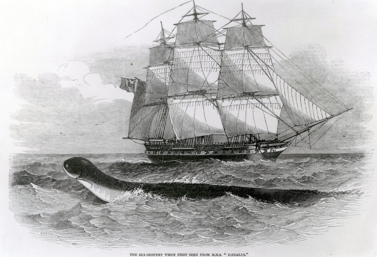 Le grand serpent de mer vu pour la première fois depuis le H.M.S. Daedalus - English School