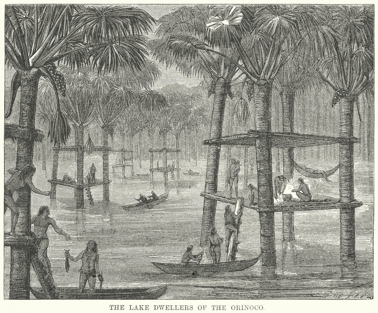 Les lacustres de l