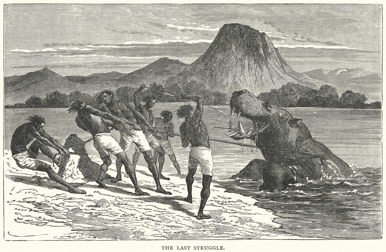 La dernière lutte (gravure) - English School