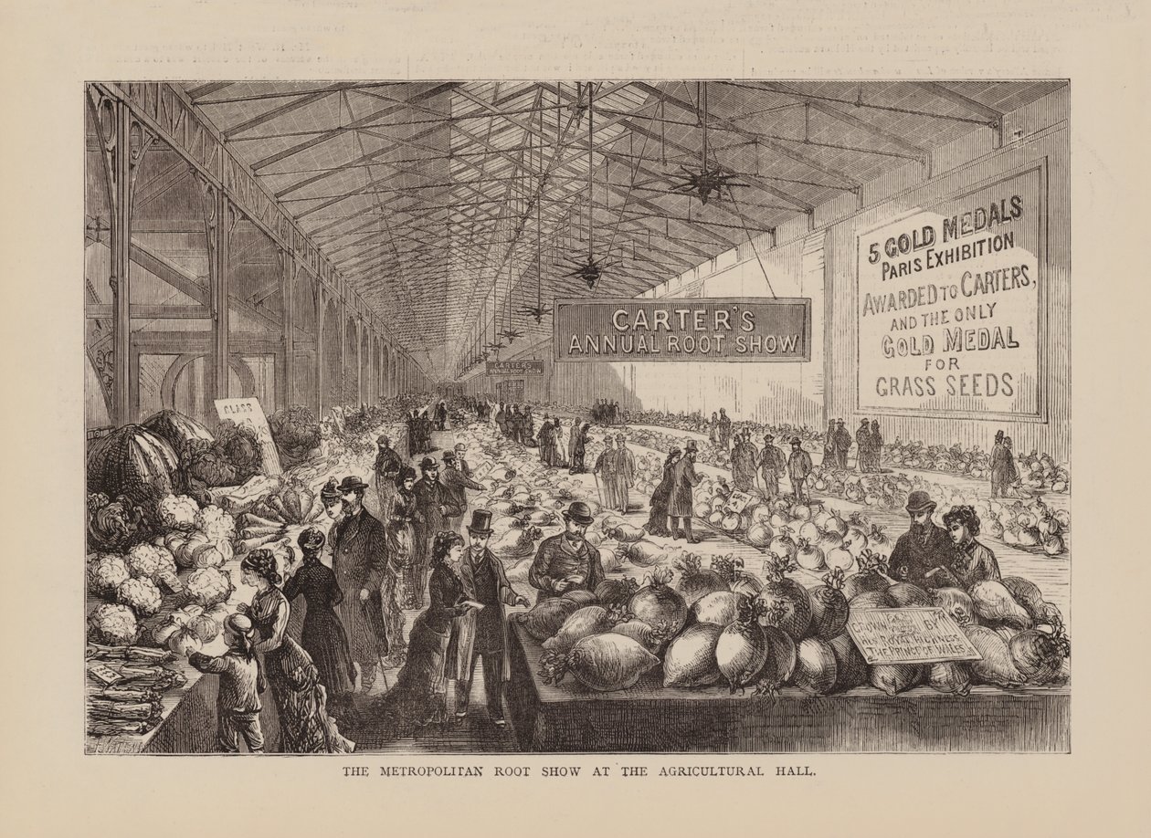 Le Metropolitan Root Show au Agricultural Hall (gravure) - English School