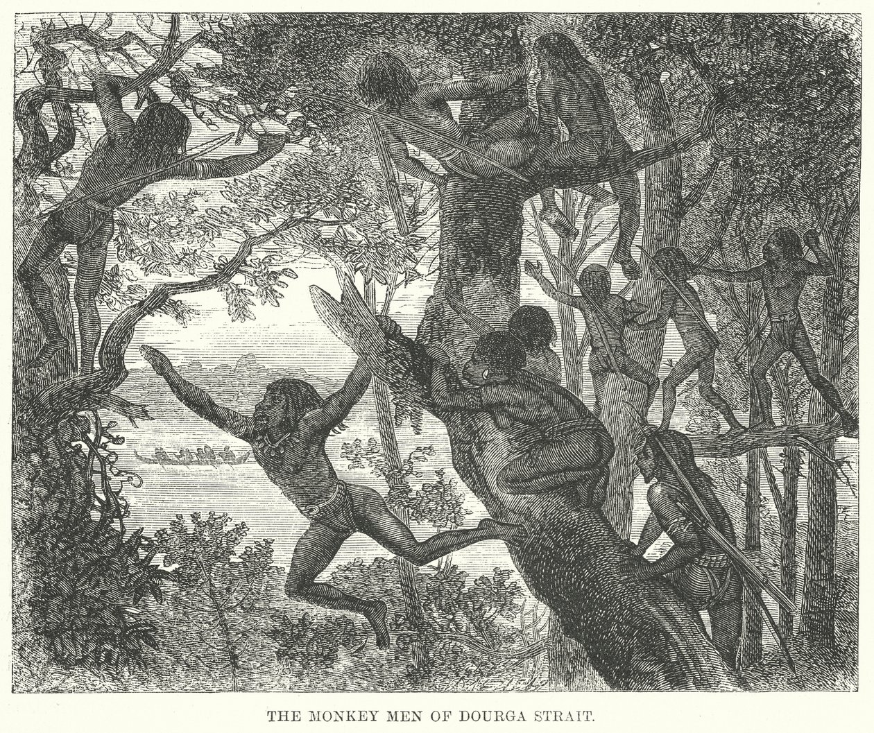 Les hommes-singes du détroit de Dourga (gravure) - English School