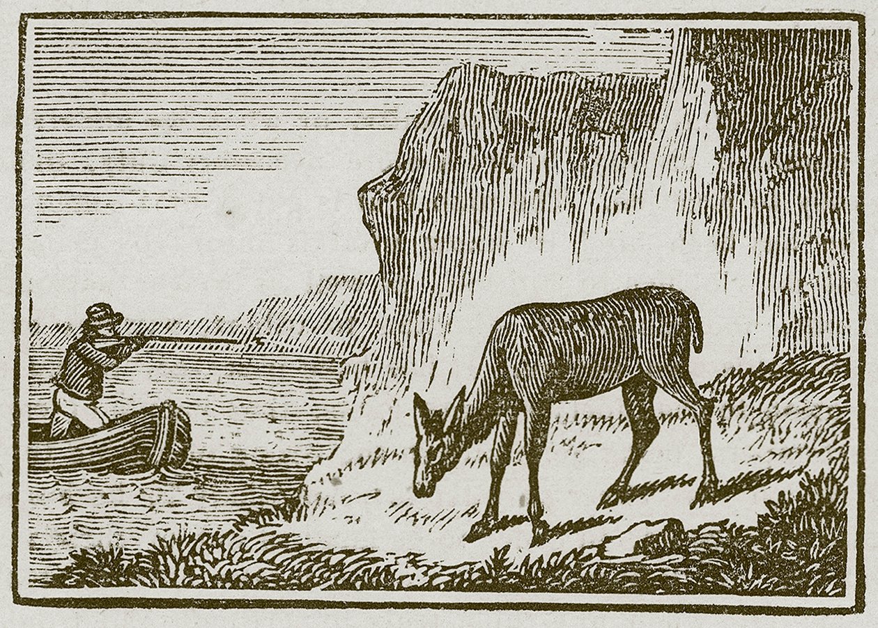 La biche borgne (gravure) - English School