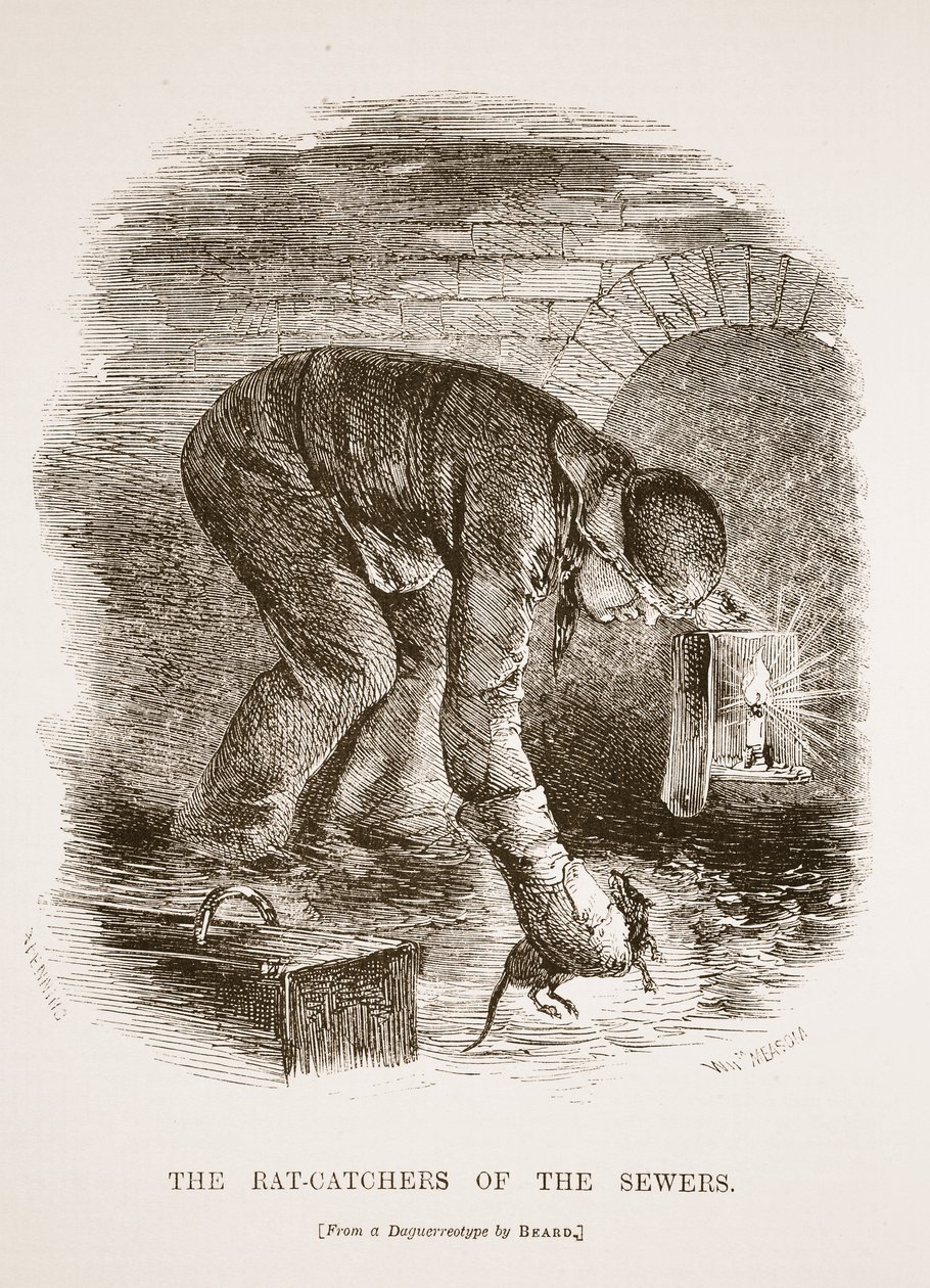 Les chasseurs de rats des égouts, d