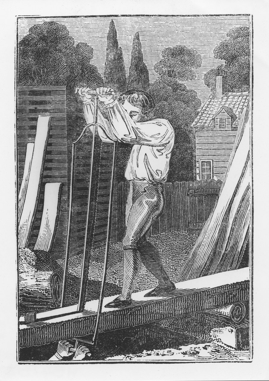 Le scieur, extrait de The Young Tradesman or Book of English Trades, 1839 - English School
