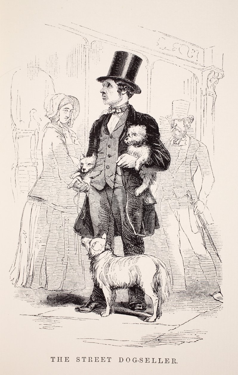 Le vendeur de chiens de rue, illustration de London Labour and London Poor par Henry Mayhew, pub. 1862 - English School
