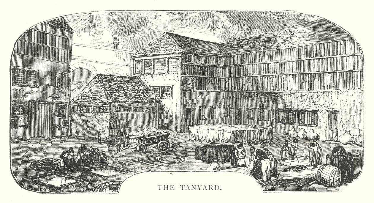 La Tanyard (gravure) - English School