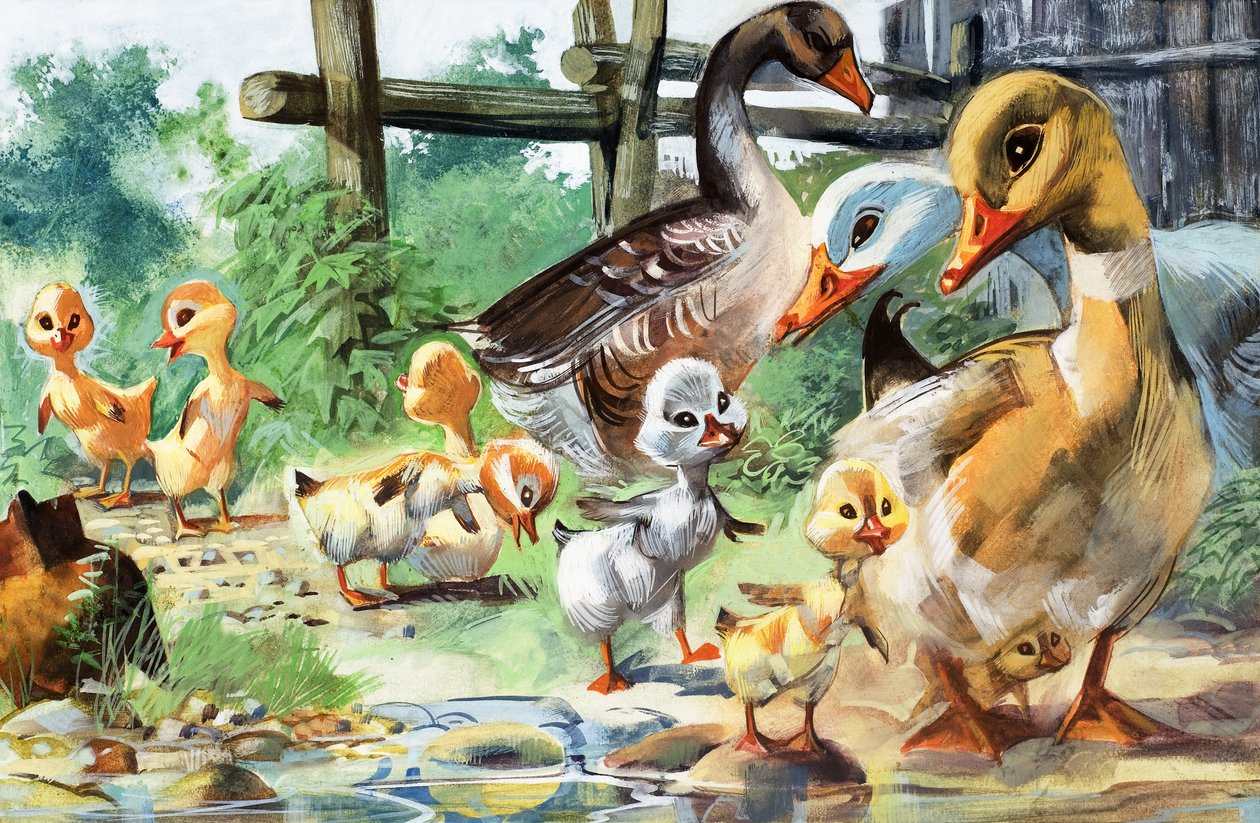 Le vilain petit canard (gouache sur papier) - English School