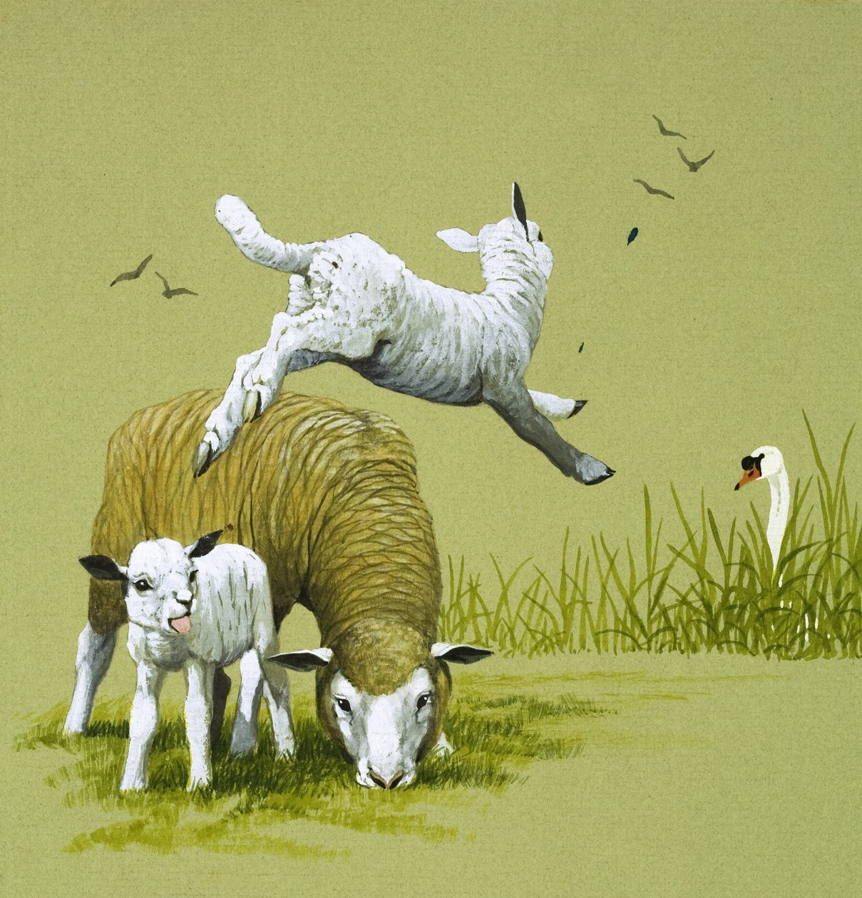 Le vilain petit canard (gouache sur papier) - English School