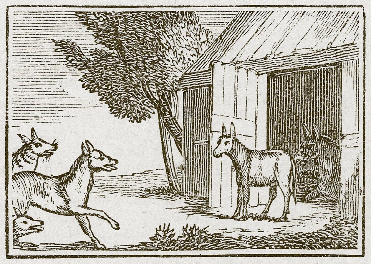 Les loups et l