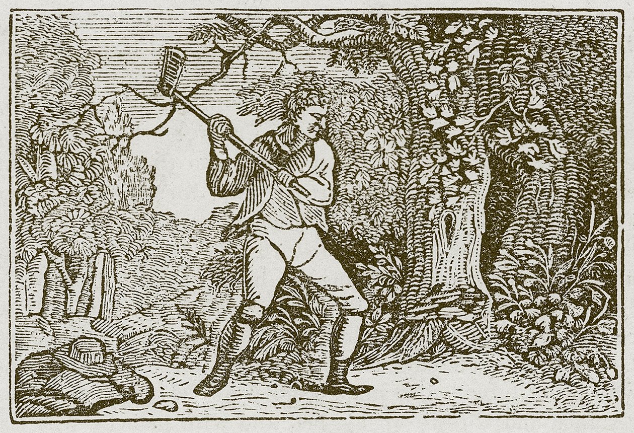 Le bois et le clown (gravure) - English School