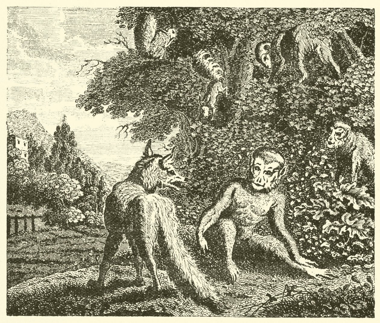 Le singe et le renard (gravure) - English School