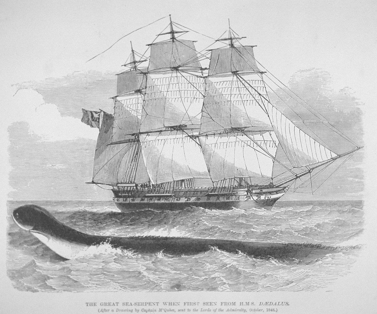 Le grand serpent de mer vu pour la première fois depuis le HMS Daedalus en 1848, vers 1848 (gravure) - English School