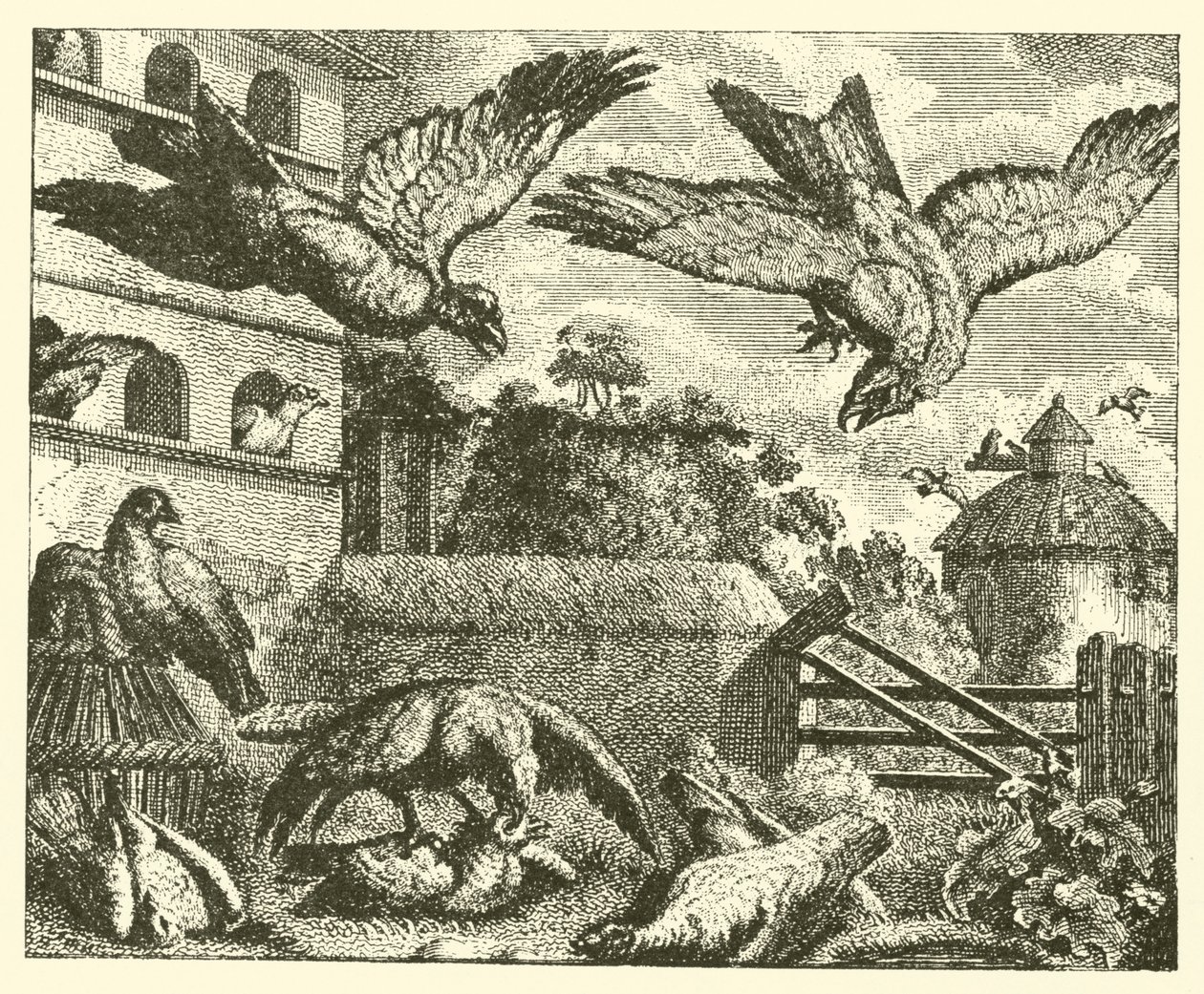 Le cerf-volant et les pigeons (gravure) - English School