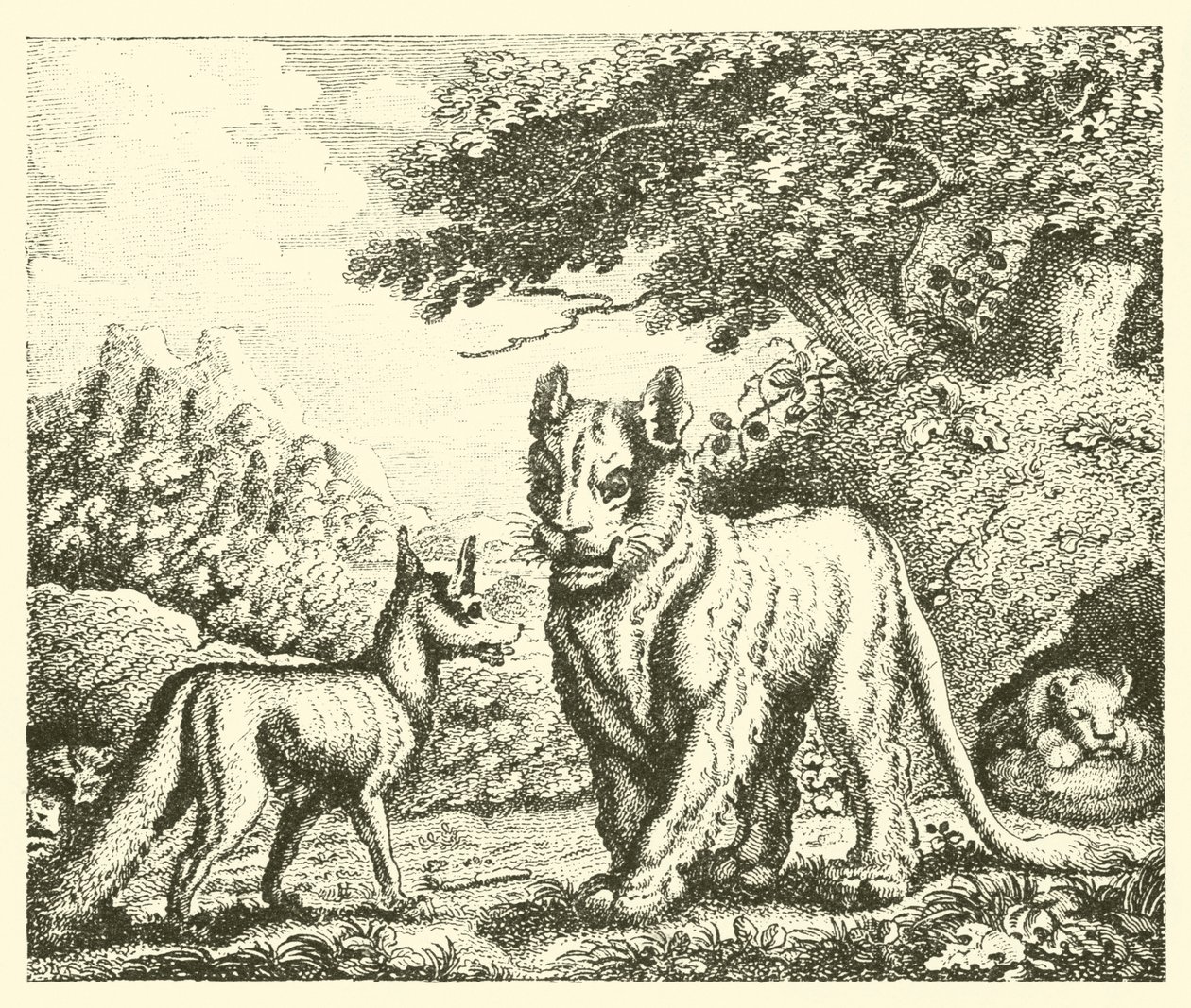 La lionne et le renard (gravure) - English School