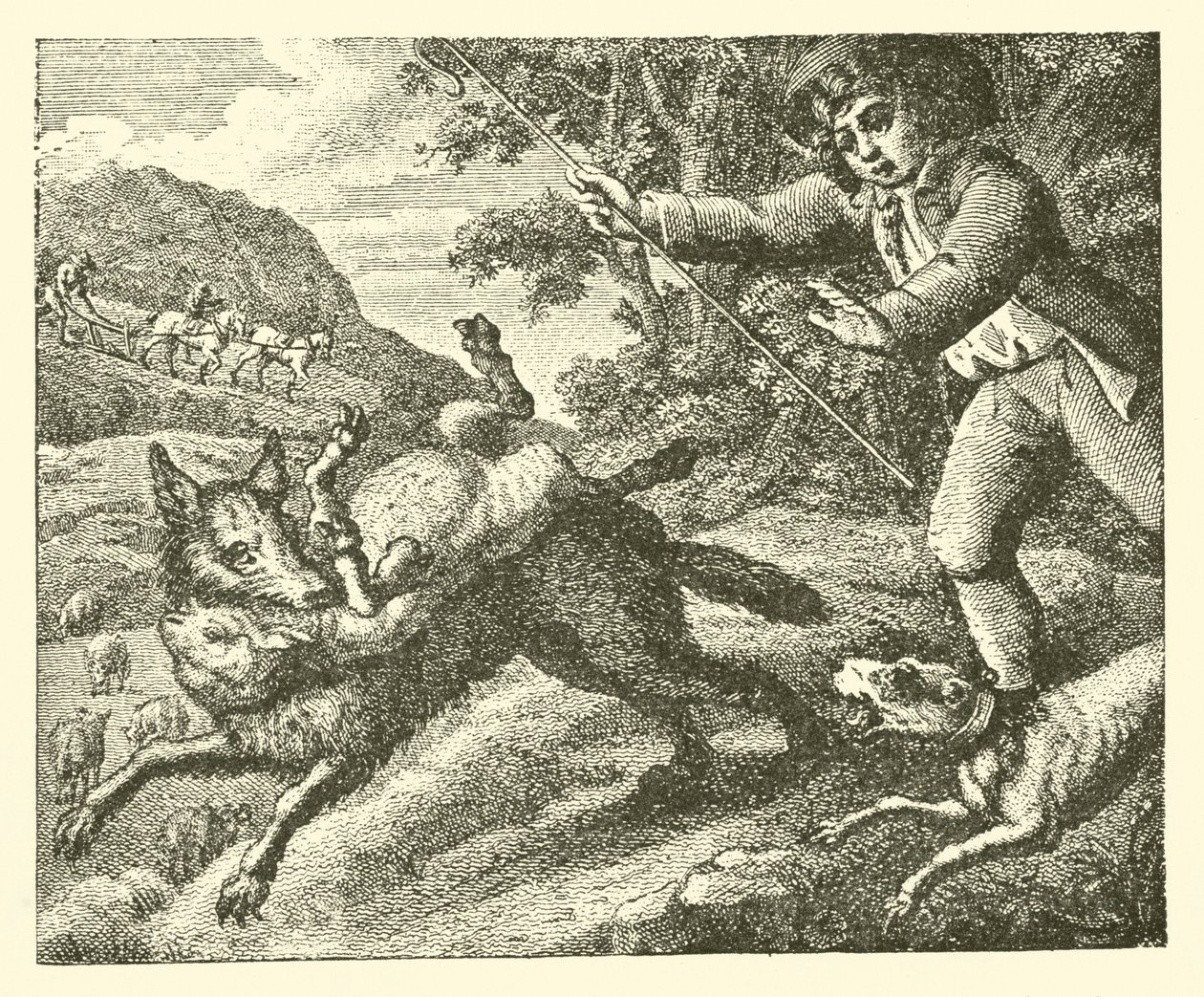 Le garçon de berger (gravure) - English School