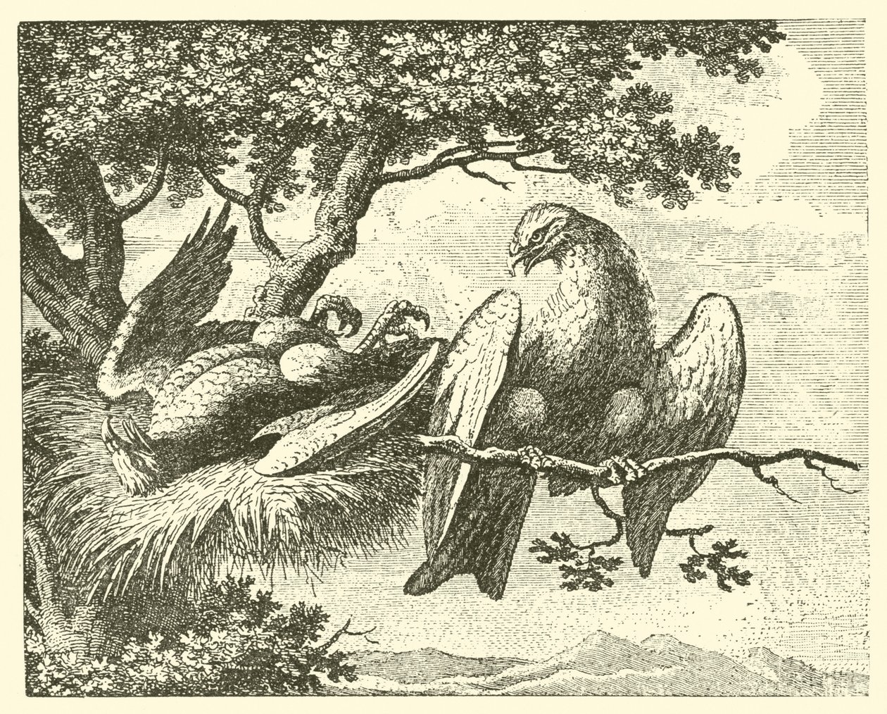 Le cerf-volant malade (gravure) - English School