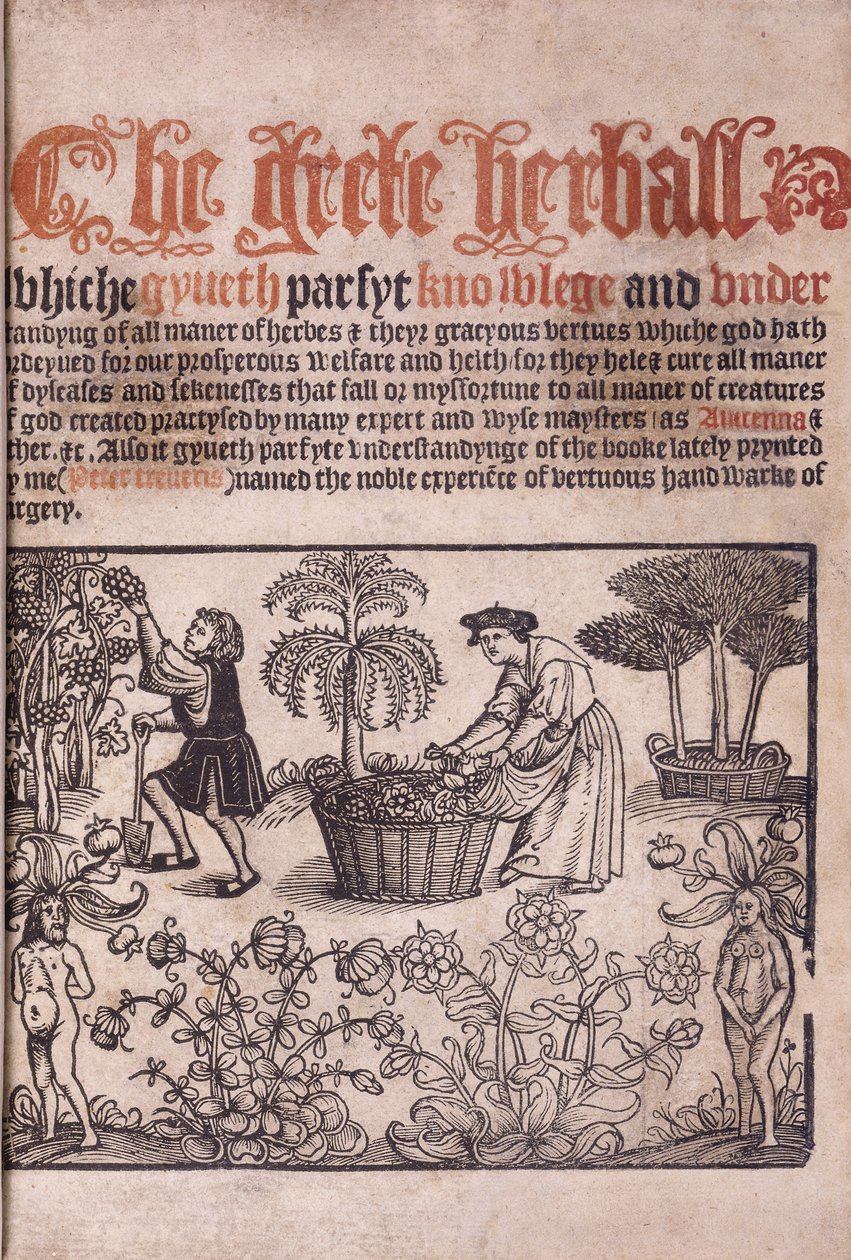 Page de titre illustrant une scène de jardin avec des personnages, 1529 - English School