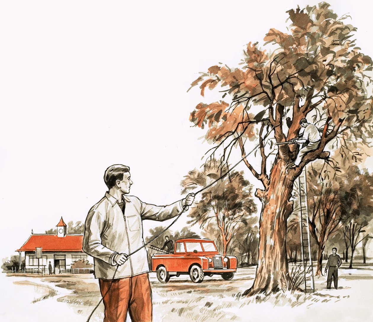 Chirurgien arboricole - English School