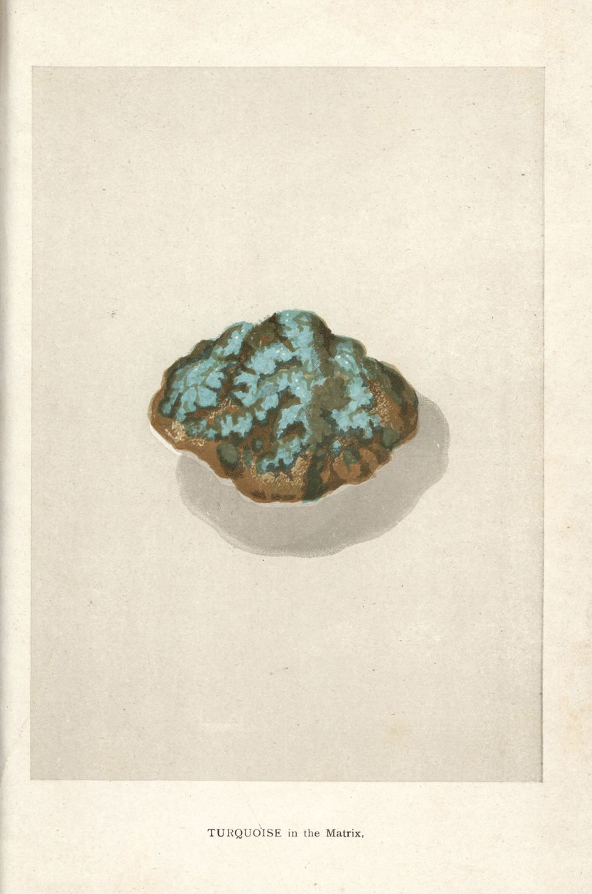 Turquoise dans la matrice, de "Precious Stones and Gems" d