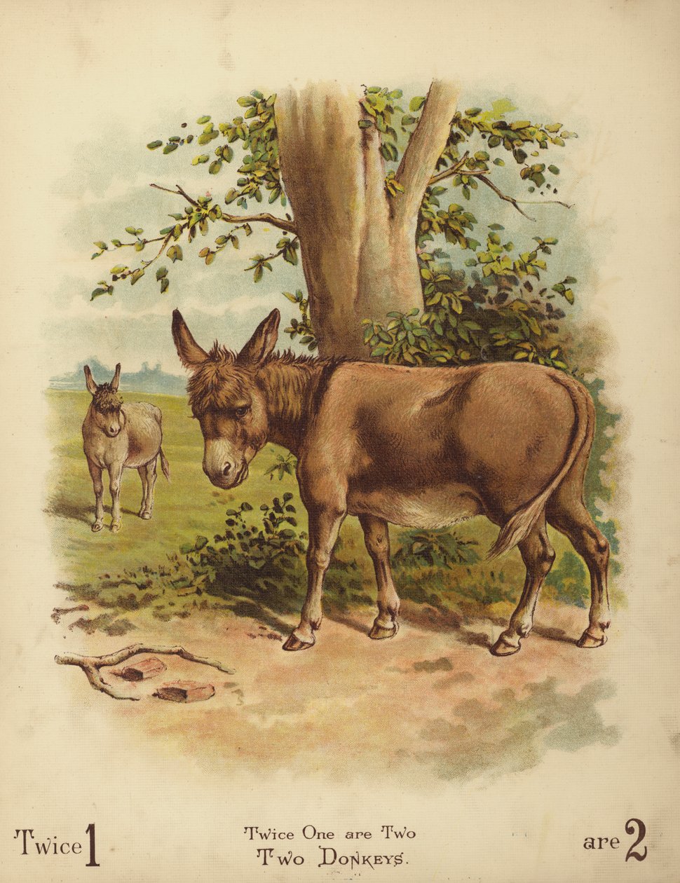 Deux ânes (chromolitho) - English School