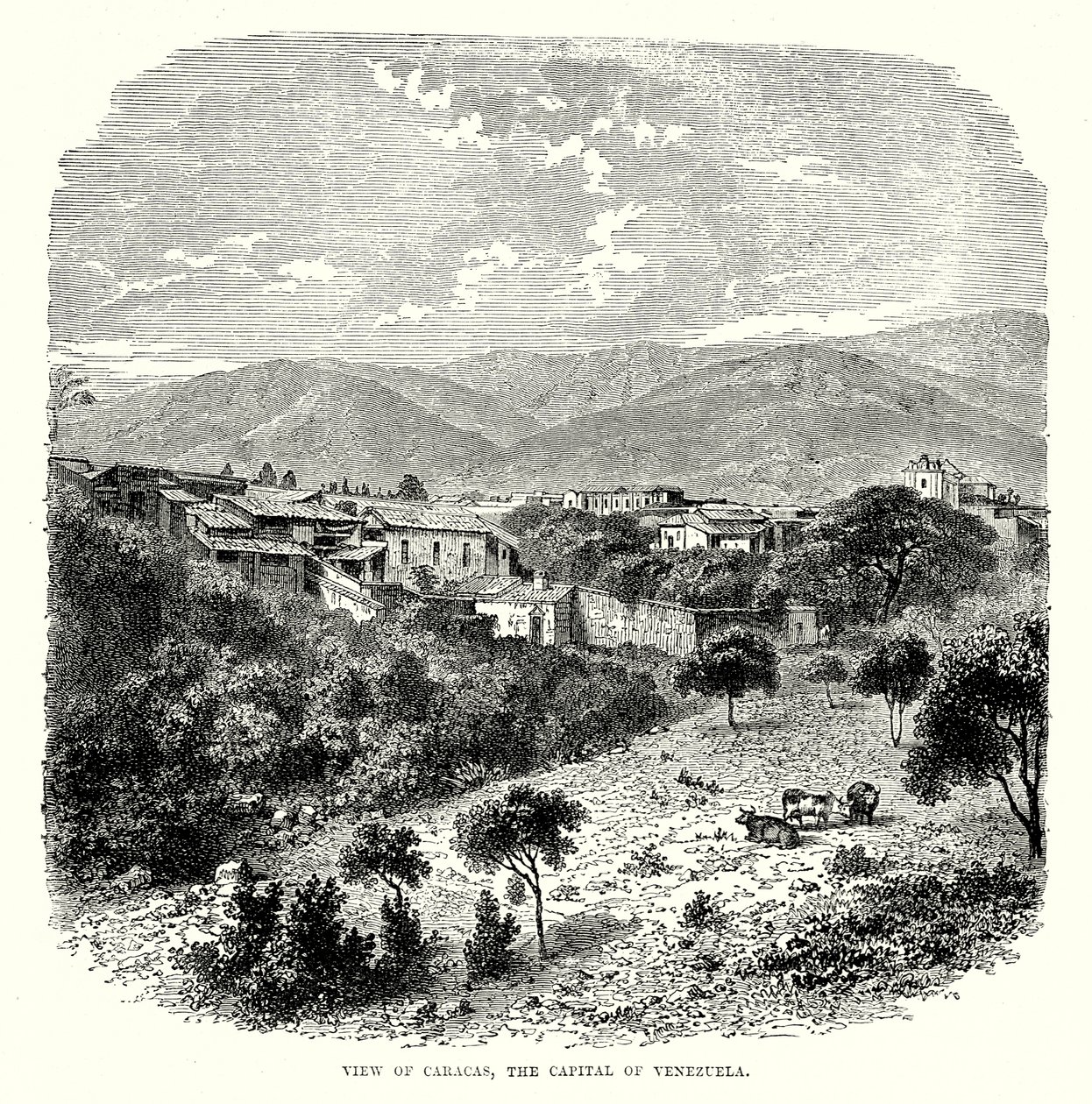 Vue de Caracas, la capitale du Venezuela (gravure) - English School