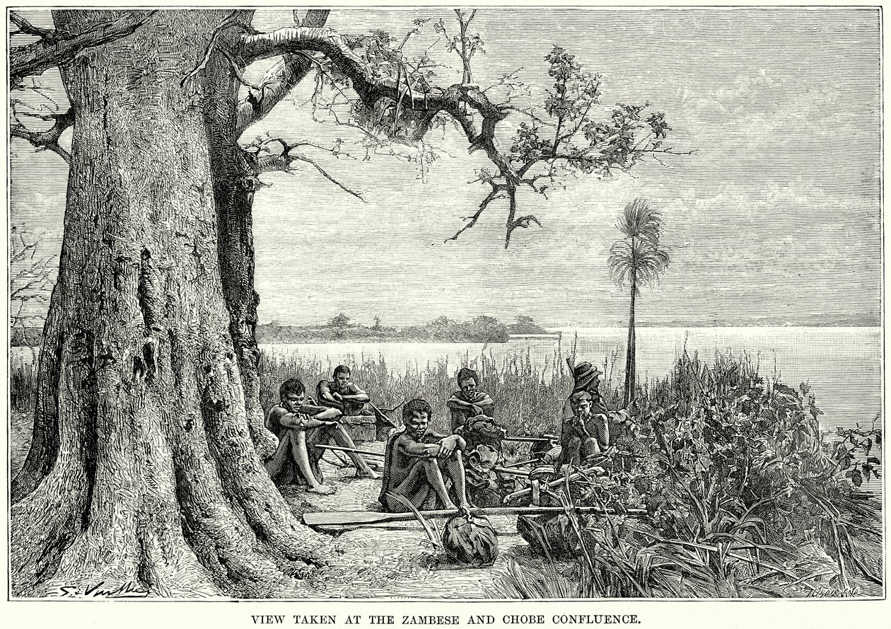 Vue prise au confluent du Zambèse et du Chobe (gravure) - English School