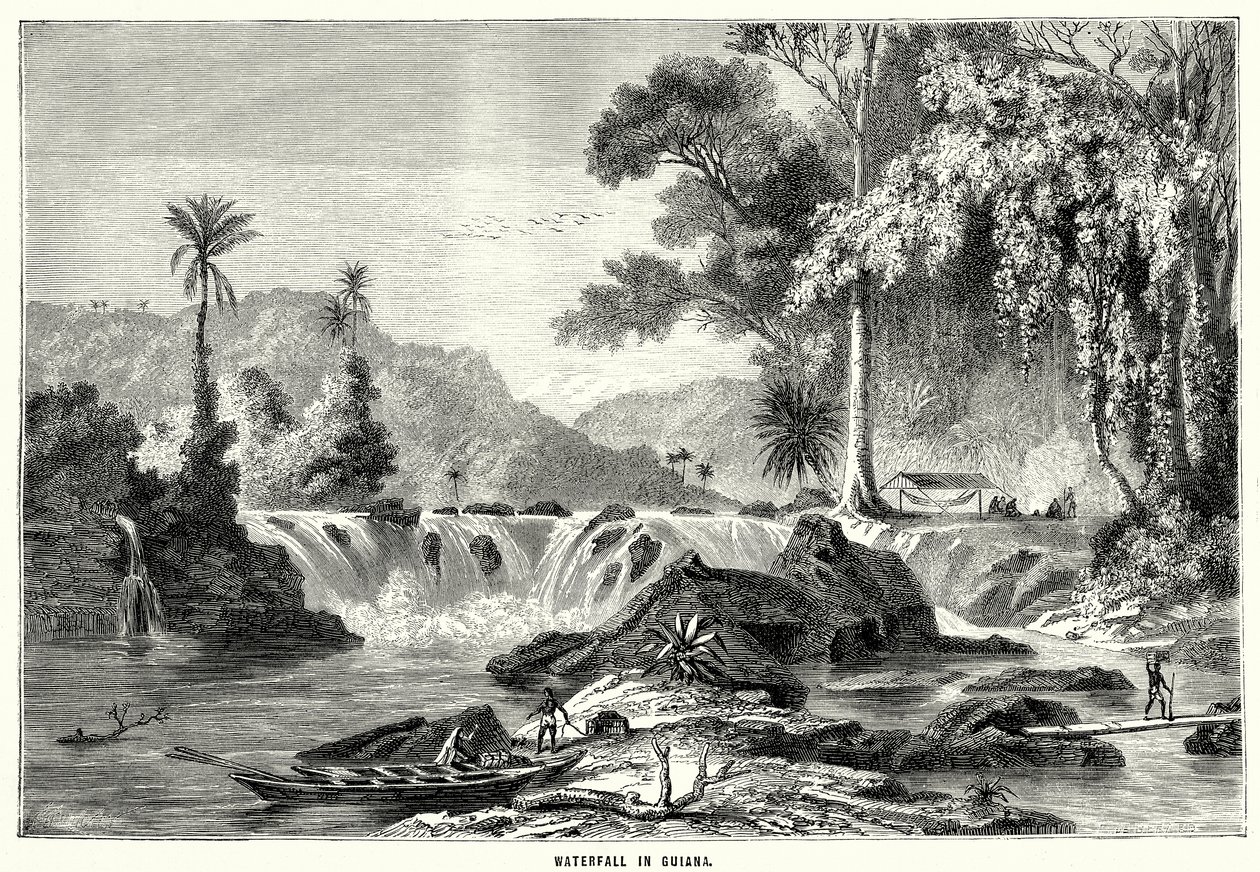 Cascade en Guyane (gravure) - English School